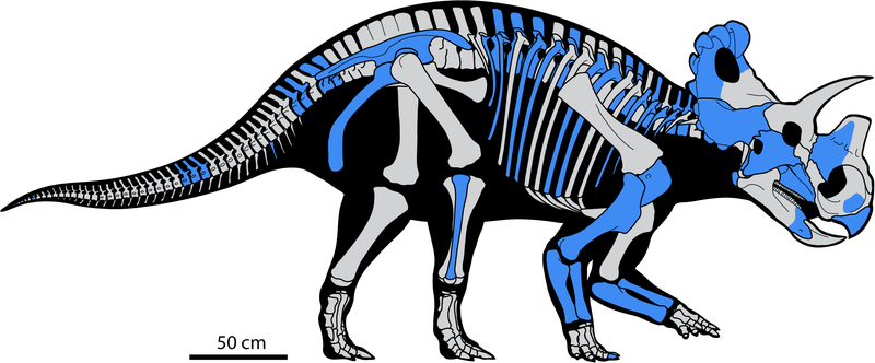 Illustration for article titled Introducing Wendiceratops, a Spectacular New Horned Dinosaur